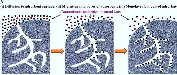 什么是“吸附”? 2 图2. 多孔材料吸附流程图:(i) 表面接触(外扩散),(ii) 吸附(内扩散),(iii) 单分子层吸附平衡。